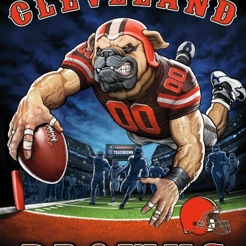 Кливленд Браунс End Zone плакат печать (22x34)|Таблички и знаки| |