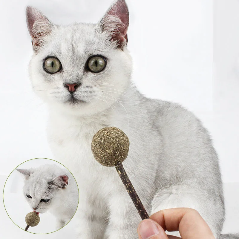 Щенок игрушки чистый натуральный кошачий Кот Игрушка молярная зубная паста