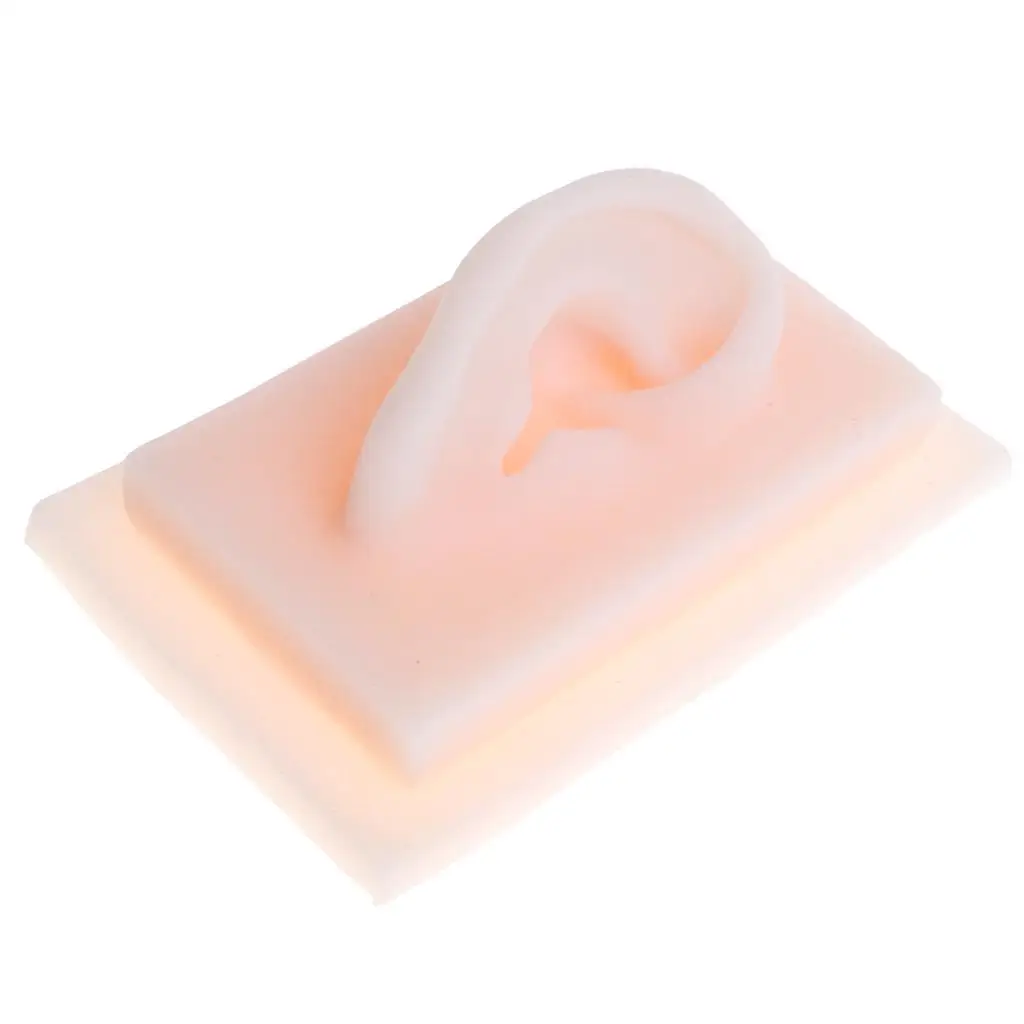 

Human right ear model 1:1 silicone acupuncture medical study kit