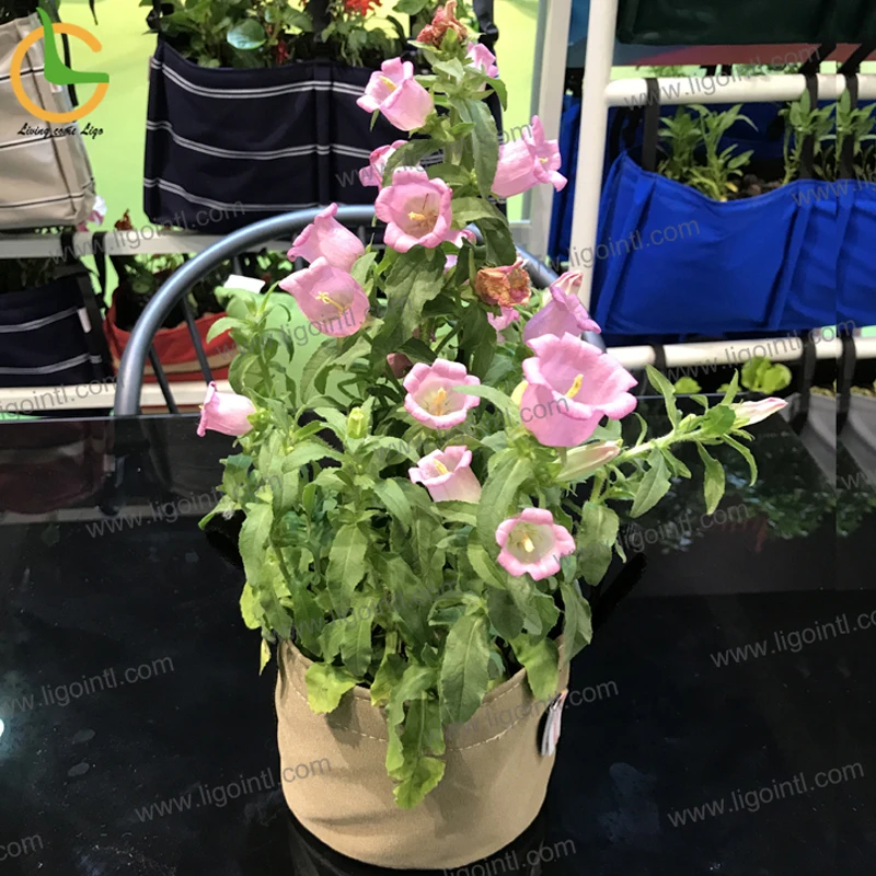 Наружные внутренние водонепроницаемые легкие гибкие орхидеи суккулент уличные