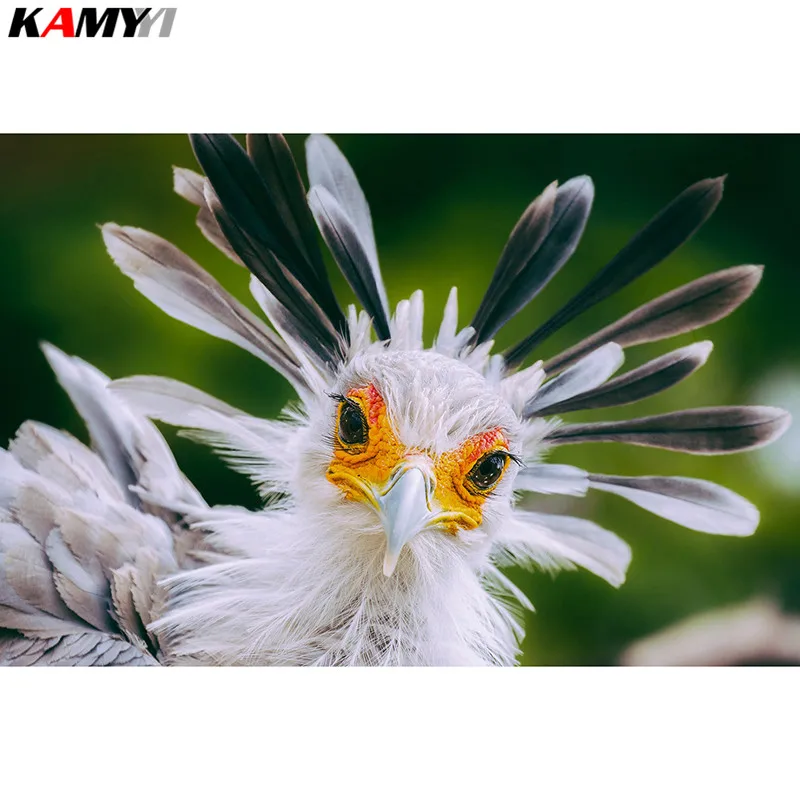 5D DIY Алмазная вышивка Волшебная Корона птица говорит Привет вам Вышивка крестом