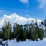 Деревья на снегу покрытые горы Mt Shuksan Baker Snoqualmie Национальный лес Вашингтон штат
