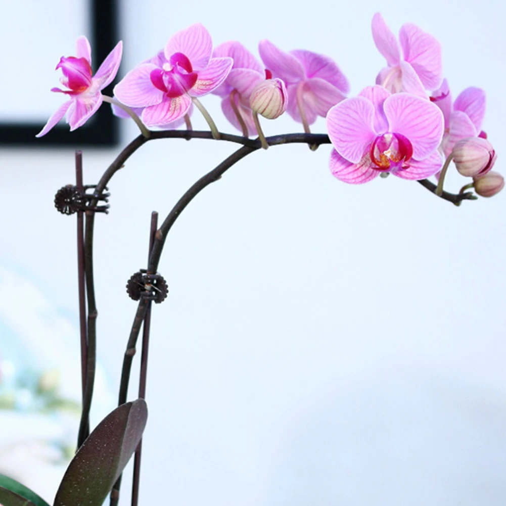 100 шт. пластиковые зажимы для стеблей инструмент прививки виноградных закрепите