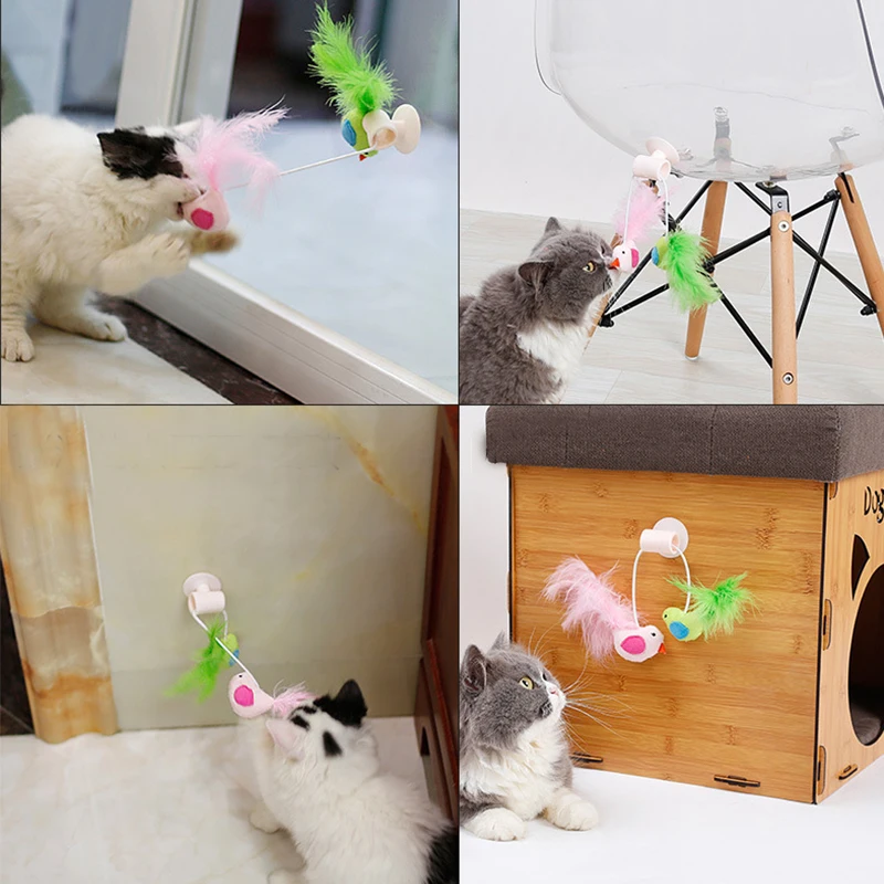 New Toys for cat Bird Feather Catnip Bell Toy Creative Cat Glass Window Sill Sucker | Дом и сад