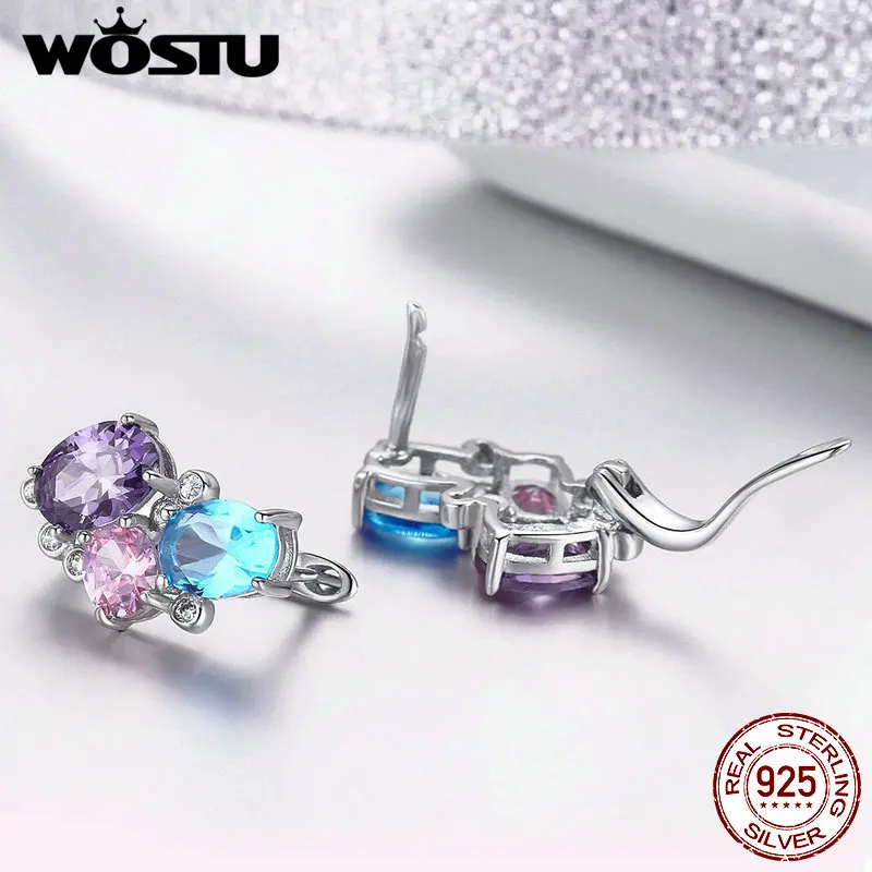 WOSTU 925 пробы серебряные разноцветные Кристальные серьги-гвоздики с узорами мороза маленькие серьги для женщин Роскошные ювелирные изделия CQE579