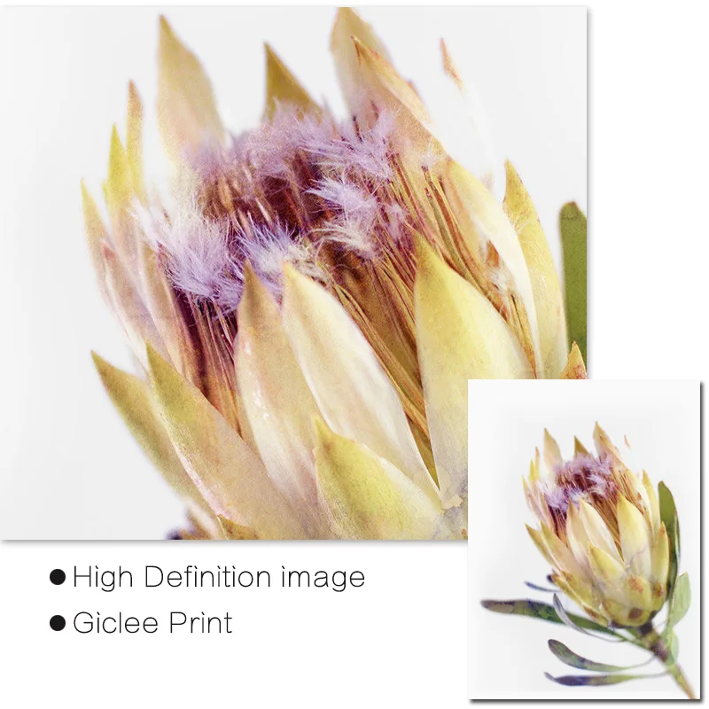 Настенные постеры и принты в виде австралийских цветов водостойкая Настенная