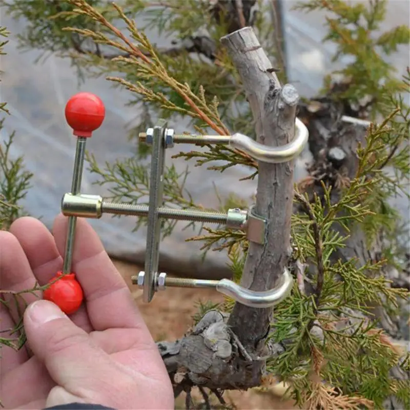 Садовый карликовый секатор износостойкий для деревьев инструмент регулировки