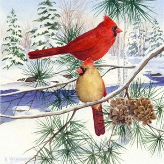 Cedar Farms Cardinals II постер печать Морин Маккарти (12x15) | Дом и сад