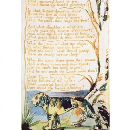 Плакат The Tyger from Songs of Innocence напечатанный Уильямом Блейком (18x24) | Дом и сад