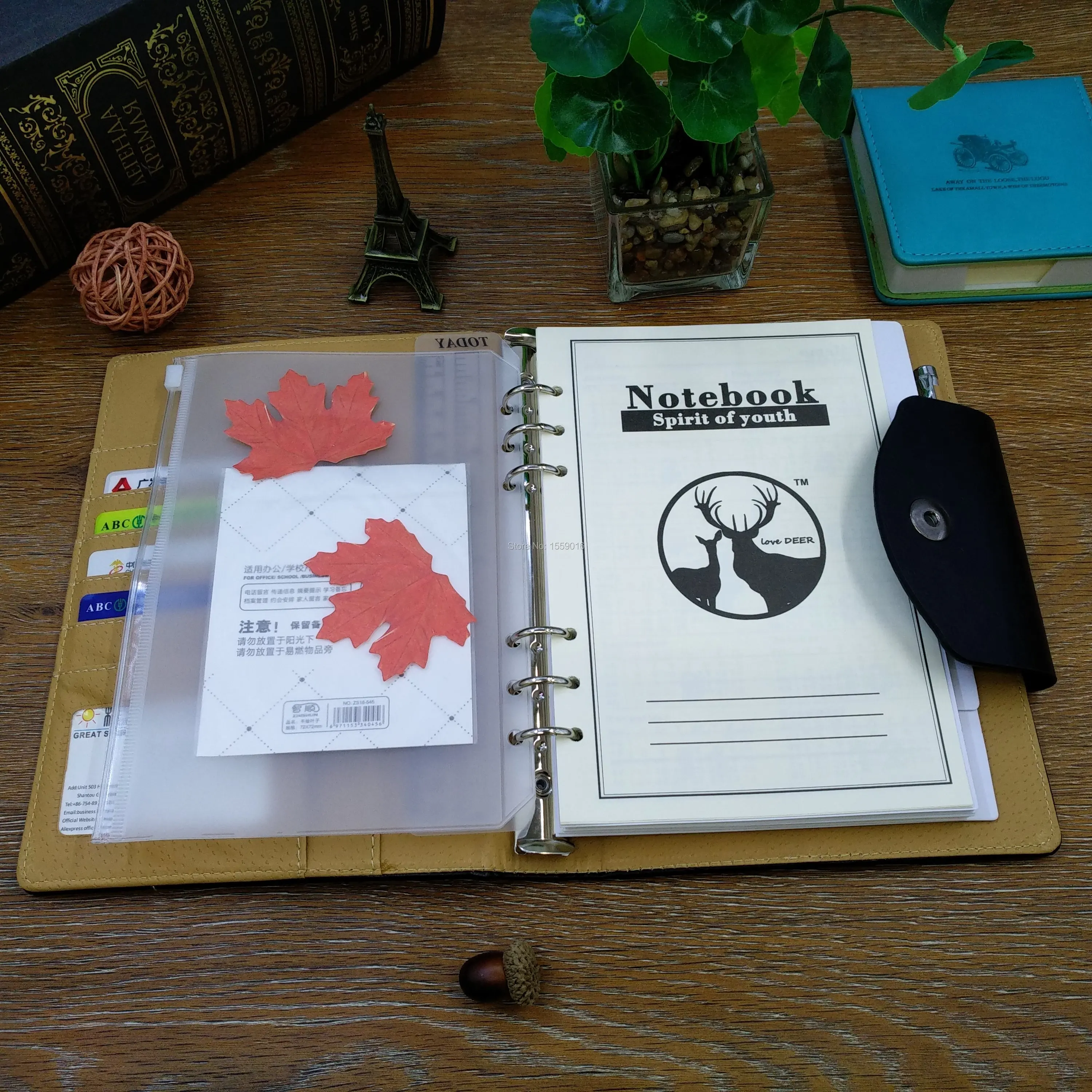 Кожа A5 Тетрадь 2021 планировщик блокнот дневник записная книжка с кольцевым