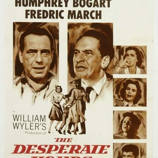 Постер фильма The Desperate Hours (11x17)|Таблички и знаки| |