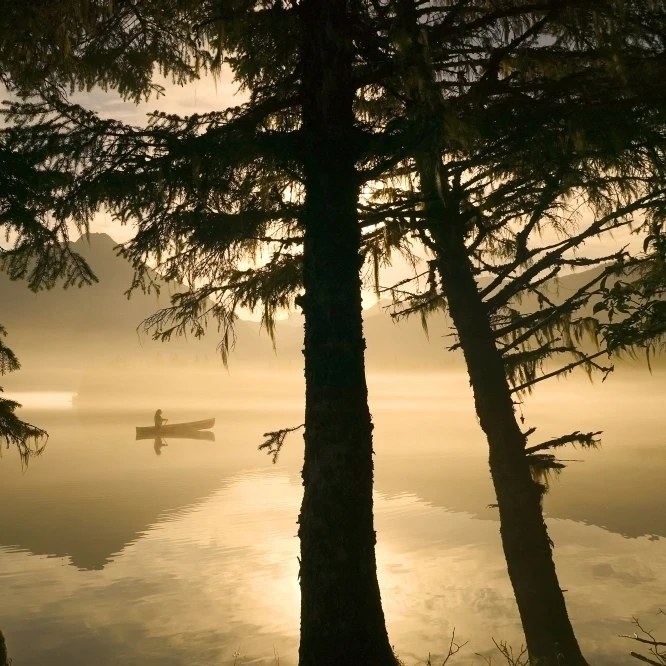 Canoeist на Mendenhall озеро в утренний туман Se Ak летний силуэт плакат печать (34x22) | Дом и