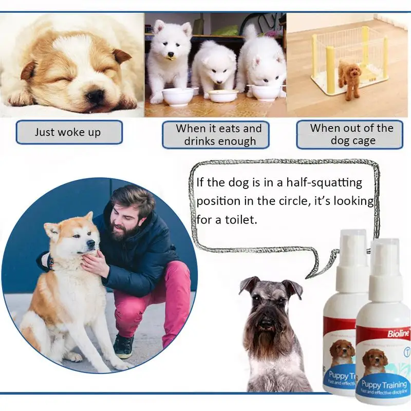 Puppy Training Spray Agent Pet Supplies Defecation At The Fixed Place Dog Toilet 50 ml Inducer Spices |