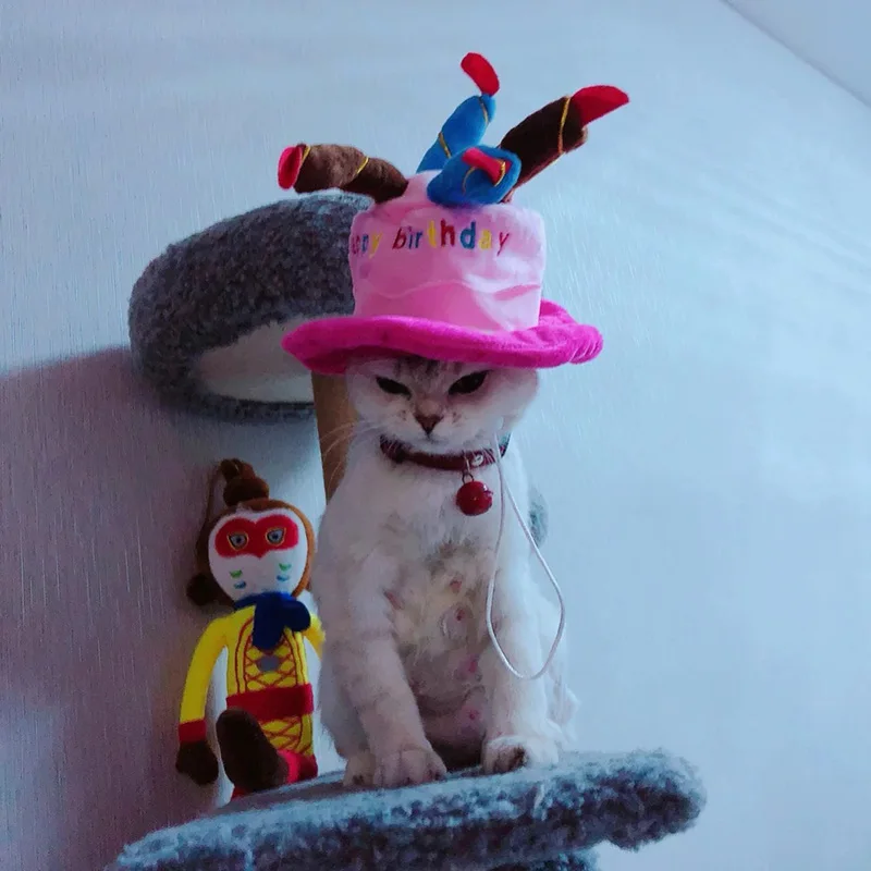Happy Birthday Pet Products Accessories Cat Dog Hat Cute Fashion New wholesale 10 pieces | Дом и сад