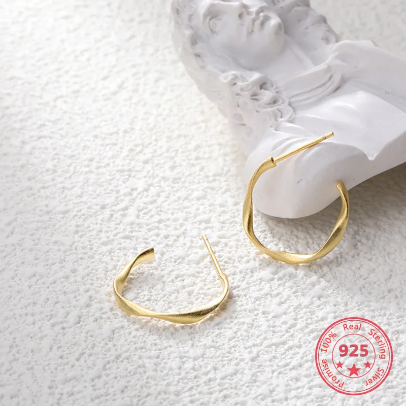 

Korea Hot Style Pure Silver Earrings for Women Trendy Gold Hook Earring