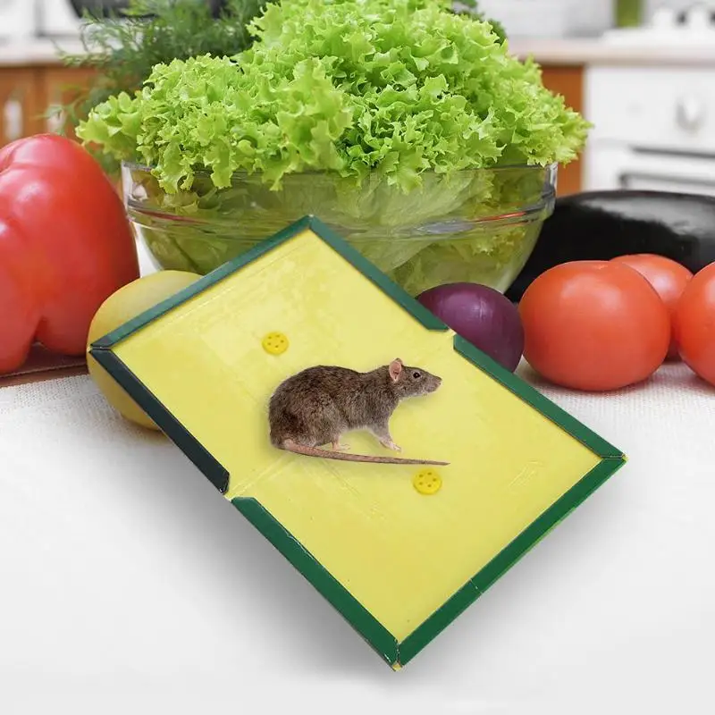 Фото Пригодная клейкая мышь ловушка для крыс клеевая доска мыши сверхпрочная мышей