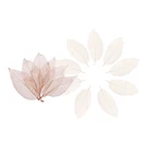 100 шт., Натуральные сушеные листья магнолии, каркас листьев для рукоделия, орнамент ручной работы