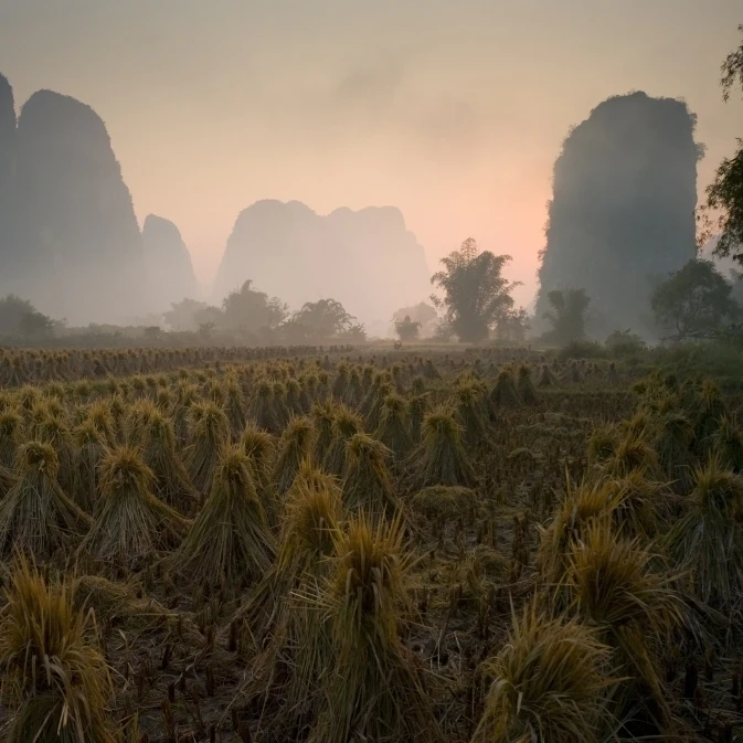 Пучки в горной местности Китайский плакат Yangshuo (20x13)|Таблички и знаки| |