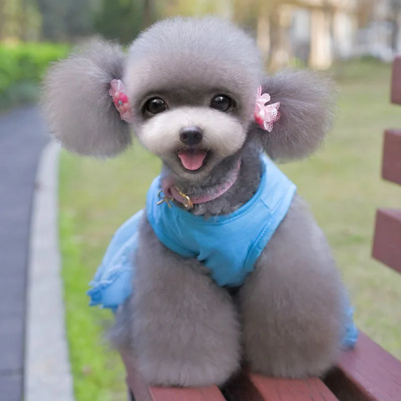 CA Wedding Dog Dresses For Small Dogs Chihuahua Summer Puppy Party Dress Pomeranian Princess Tutu Shih Tzu Yorkshire Pet Clothes | Дом и сад
