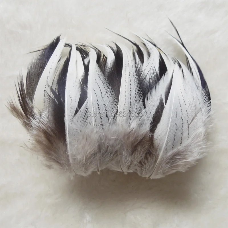 

100Pcs/lot!5-7cm Nature Silver Pheasant Feathers White& Black Silver Pheasant Plumage Craft Feathers for Millinery Jewelry Makin