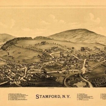 Историческая карта Stamford New York 1890 Делавэр графство плакат печать (36x54) | Дом и сад
