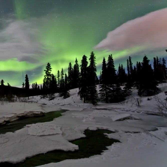 Аврора borealis над крик Юкон Канада плакат печать (34x22) | Дом и сад