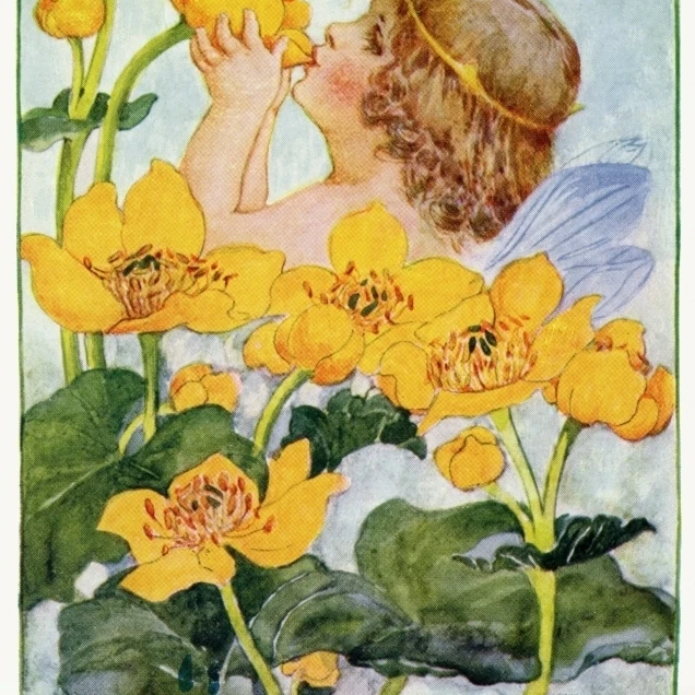 Король чашки плакат печать Мэри Эванс картина Librarypeter & Dawn Cope Collection (18X24)|Таблички и