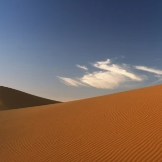 Merzouga Morocco. Poster Print (37 x 12) | Дом и сад