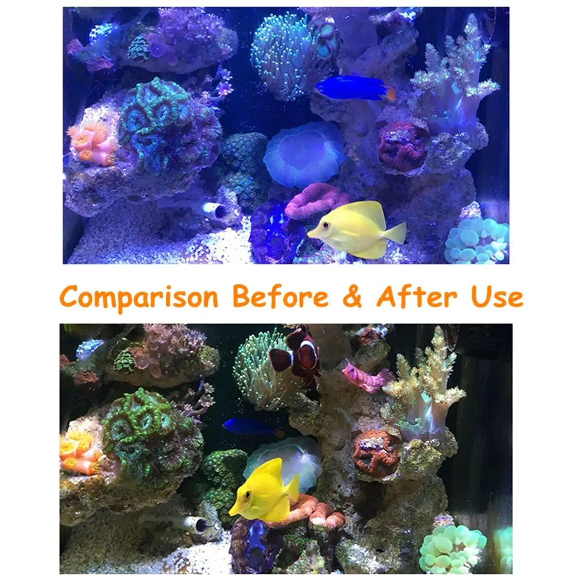 

Aquarium Fish Tank Coral Reef Lens Phone Camera Filters Lens + 1 Macro Lens Fish Aquatic Terrarium Accessories