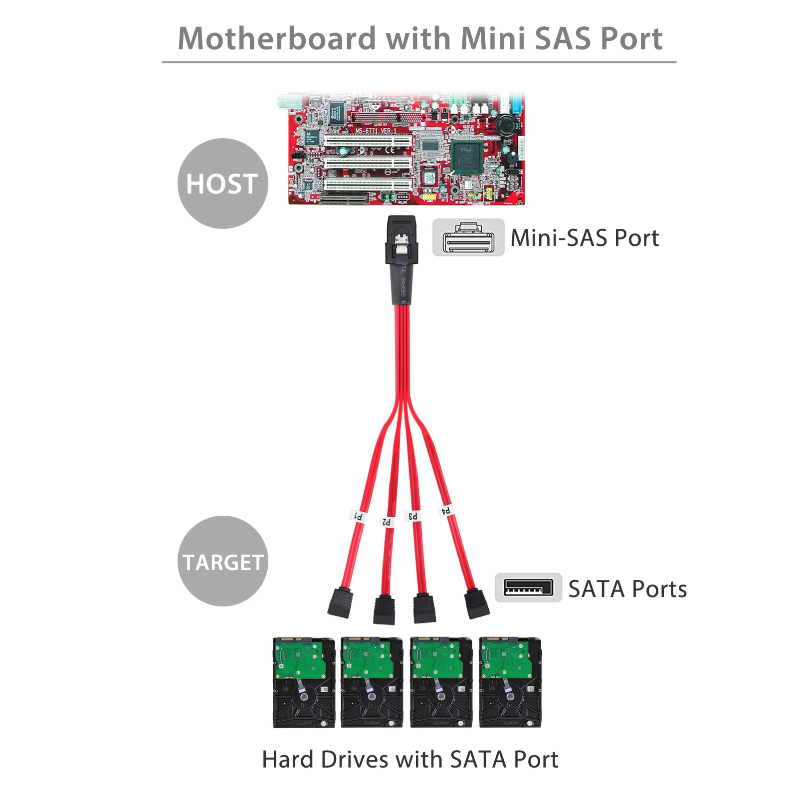 Proster Mini SAS to 4 SATA Cable Adapter SFF 8087 многополосный внутренний сплиттер Adapter|Компьютерные