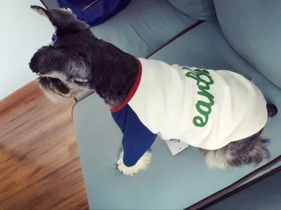 Day Han Xinkuan Pets Clothes Autumn And Winter The Dog Hoodie. Letter Picture Fashion Embroidery Coat Articles | Дом и сад