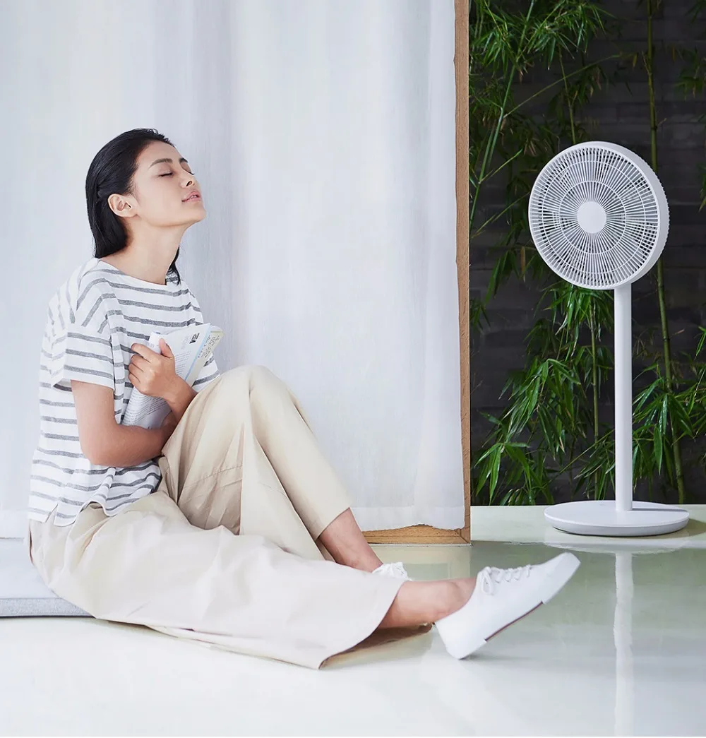 Беспроводной напольный вентилятор Xiaomi Smartmi Home с дистанционным управлением 100