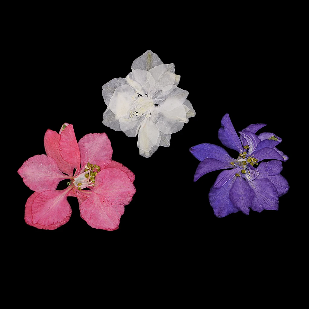 20 шт. прессованные цветы из натурального Delphinium сушеные для изготовления