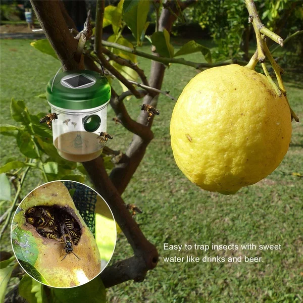 Promotion! 1 Pcs 2V Wasp Trap Catcher Life Outdoor Solar Powered With Ultraviolet LED | Дом и сад