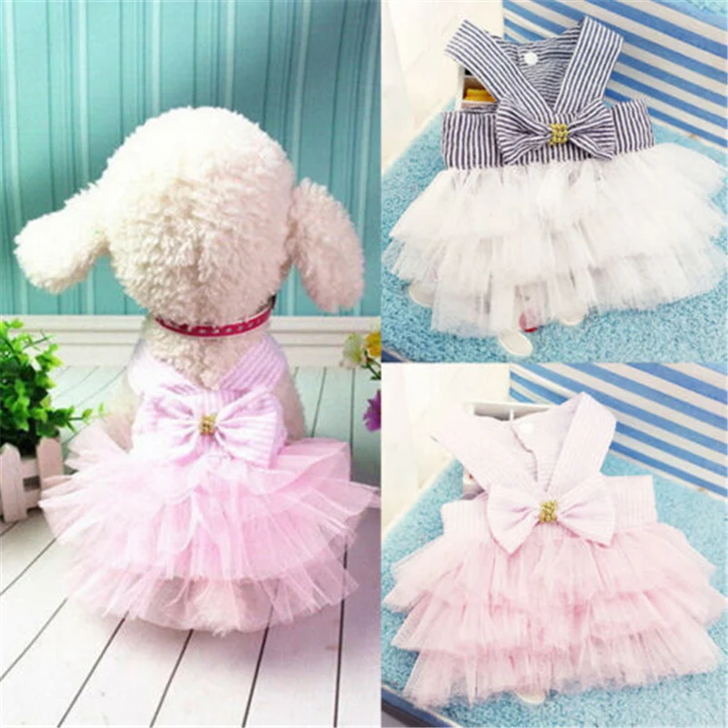 Горячая для домашних животных собак балетные костюмы vestidos Одежда для щенка, котика кружевное платье с юбкой-пачкой из кружева для чихуахуа милая собака одежда платья поставки новых домашних животных