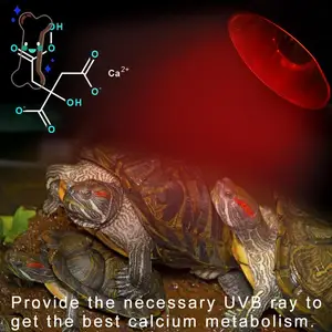 Лампа нагревательная полного спектра для аквариума, 255075100 Вт, ПЭТ, рептилия, Черепаха Рыба змея, UVA + UVB