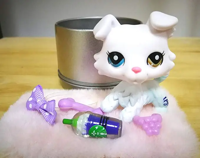 Новый колли Белый 2 разных глаза с аксессуарами много лук кости воротник напиток