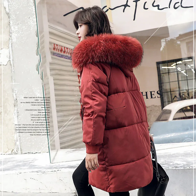 Одежда из хлопка женская зимняя куртка 2019 верхняя одежда с меховым воротником