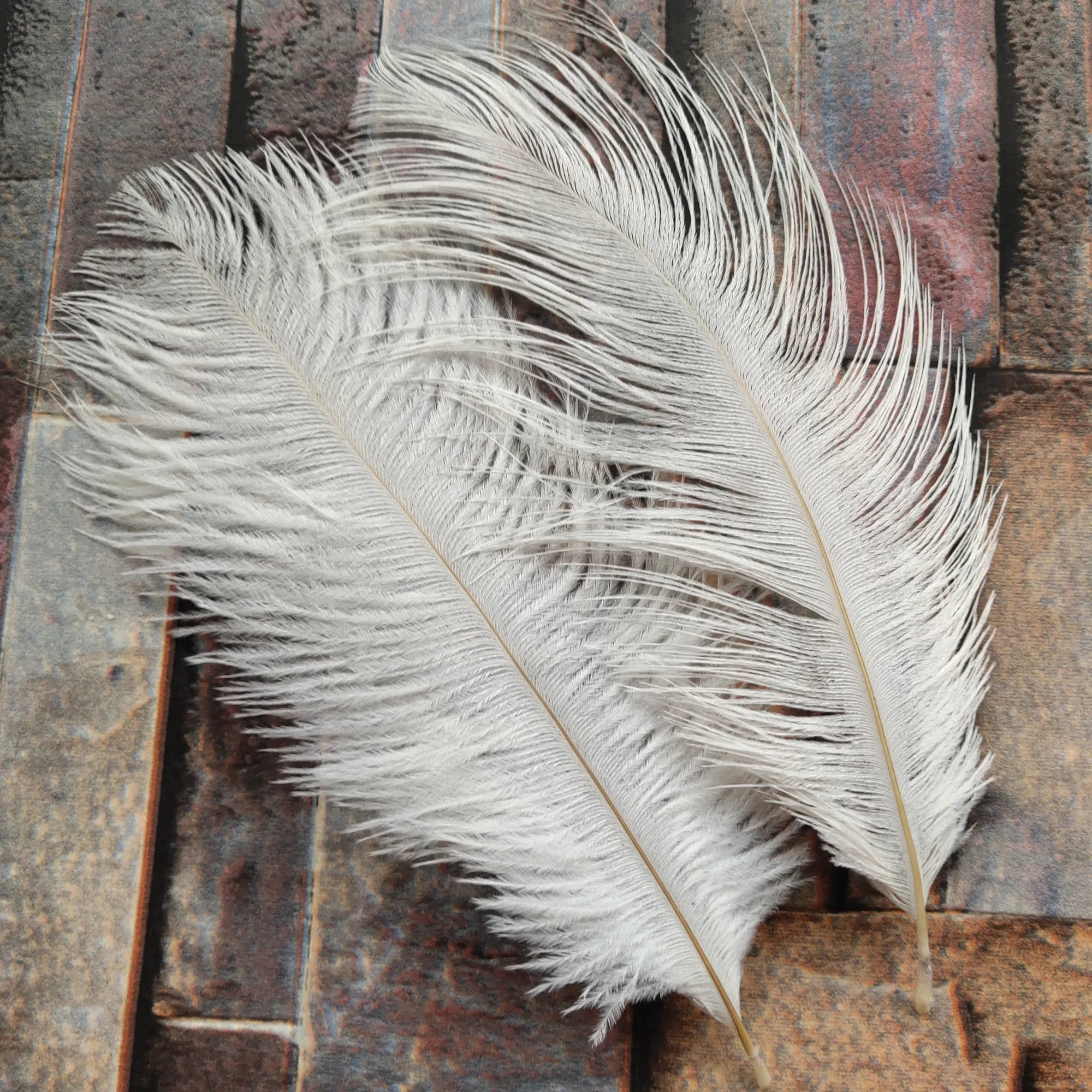 10 шт. белые страусиные перья 6 8 дюймов 15 20 см|white ostrich feathers|ostrich featherostrich white feather |
