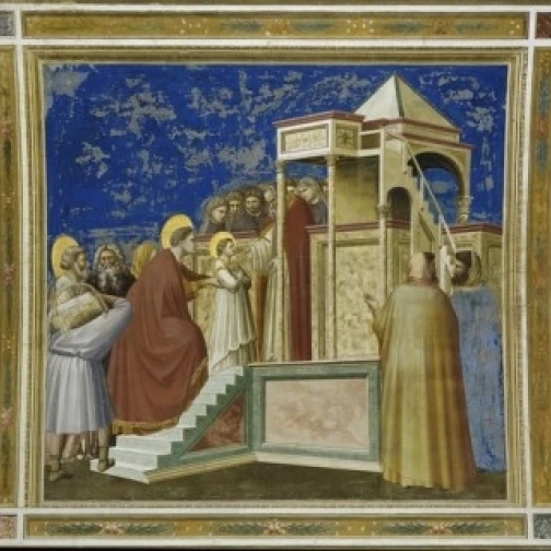 Презентация Девы в храме c 1305-1313 Fresco Giotto di Bondone 1266-1337/Florentine Arena 24x36 | Дом и сад