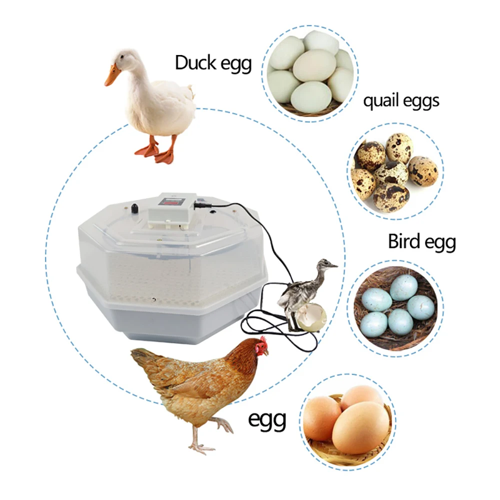 High Quality Mini Farm Egg Incubator Intelligent Poultry Hatchery Machine Electric Hatcher For Ducks Birds Chickens | Дом и сад