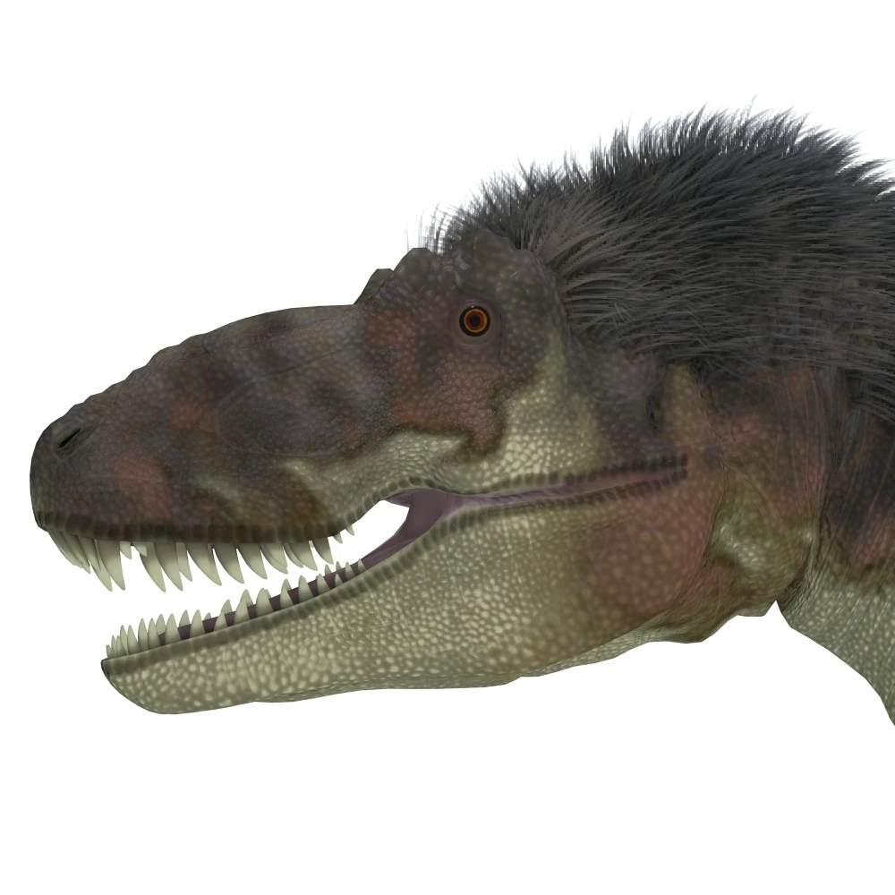 Daspletosaurus голова динозавра плакат печать (28x28)|Таблички и знаки| |