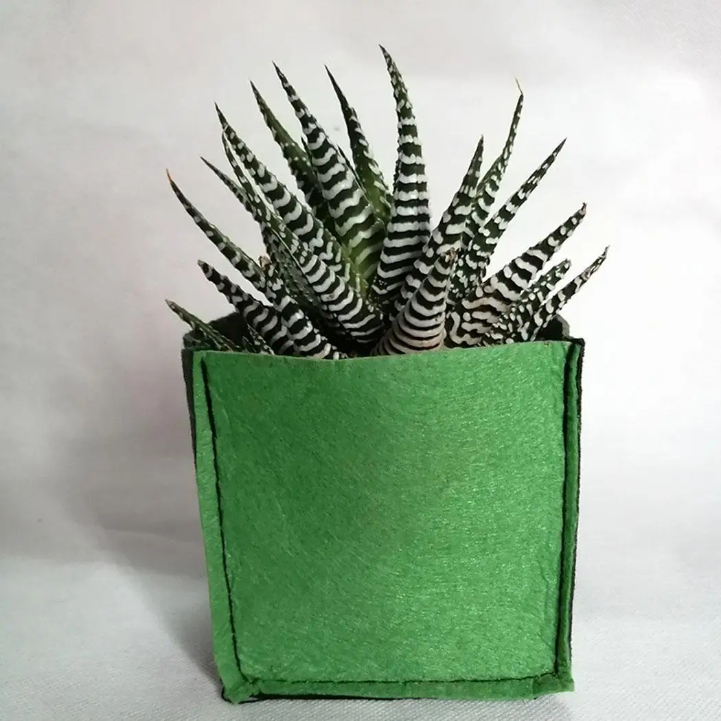 Суккулентная посадка растений контейнер для дома сада мешки выращивания