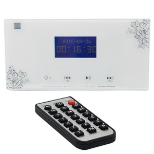 Домашняя аудиосистема, музыкальная система, потолочная акустическая система, цифровой стерео усилитель, в стене усилитель