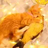 Животные Кошки котенок игра игрушечная Рыба Форма мята плюшевая молния Моделирование рыба забавная