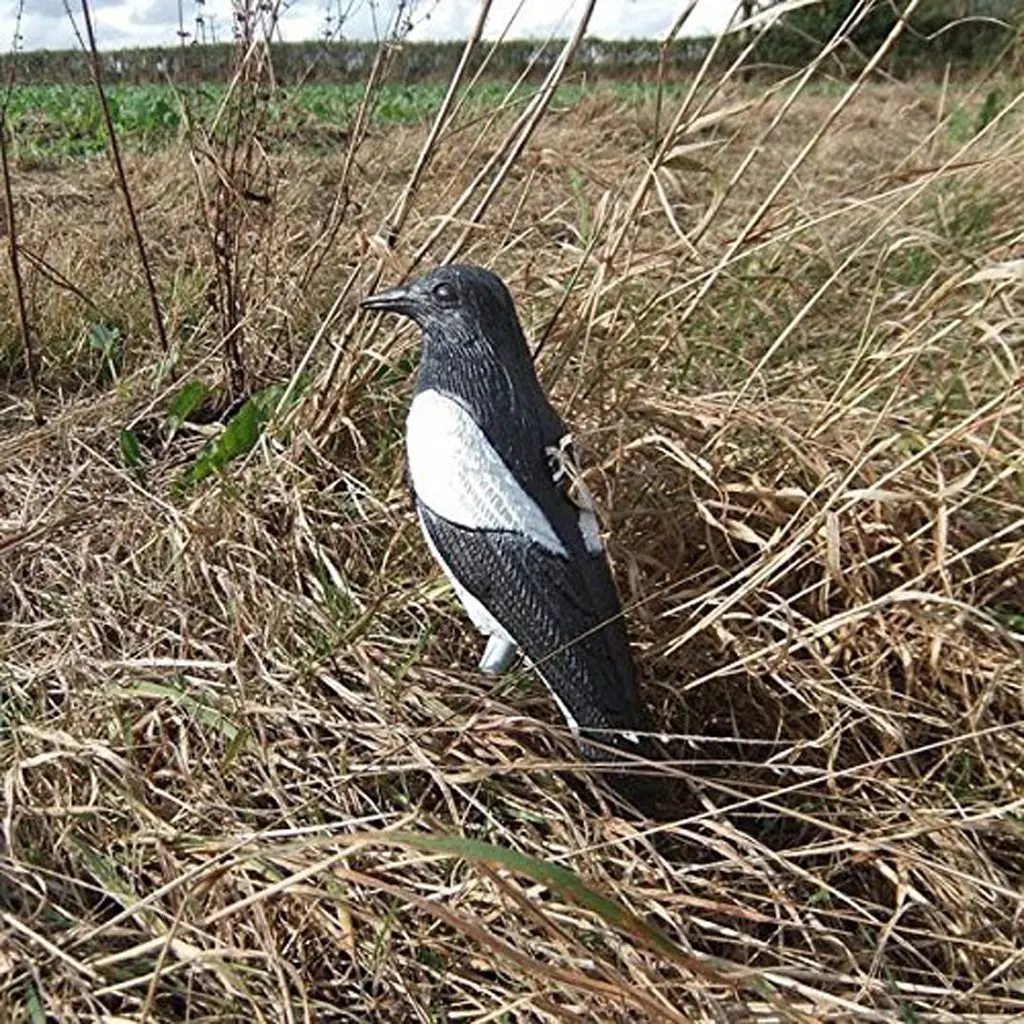 Magpie приманка охотничья Приманка Ловушка для стрельбы борьба с вредителями сад