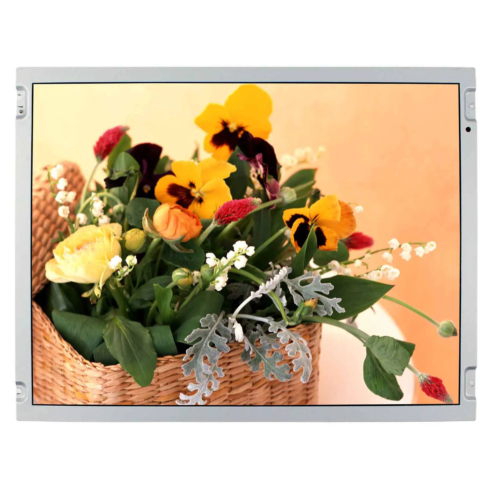

15-дюймовый ЖК-дисплей IPS 1024X768 LQ150X1LW73, ЖК-экран