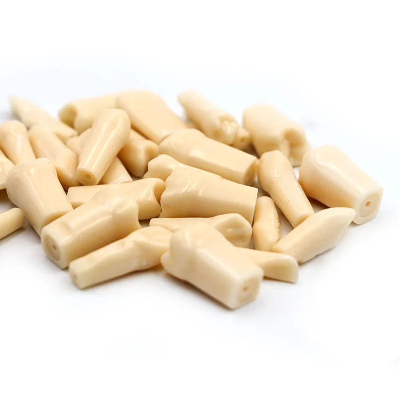 

28pcs/Bag Simulation Tooth Grain Dental Granule and Screw Dental Tooth Model For Dentist Exam Preparation Teaching