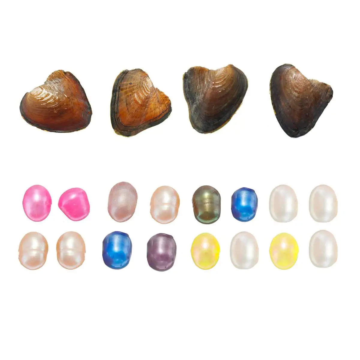 Натуральный жемчужный пресноводного жемчуга многоцветные жемчужные устрицы