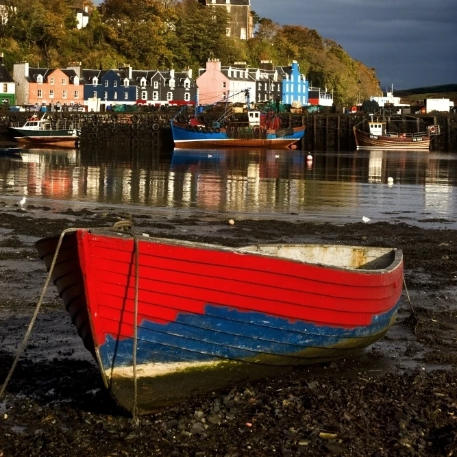 Гребная лодка на острове Tobermory Scotland Poster Print (11x17) | Дом и сад